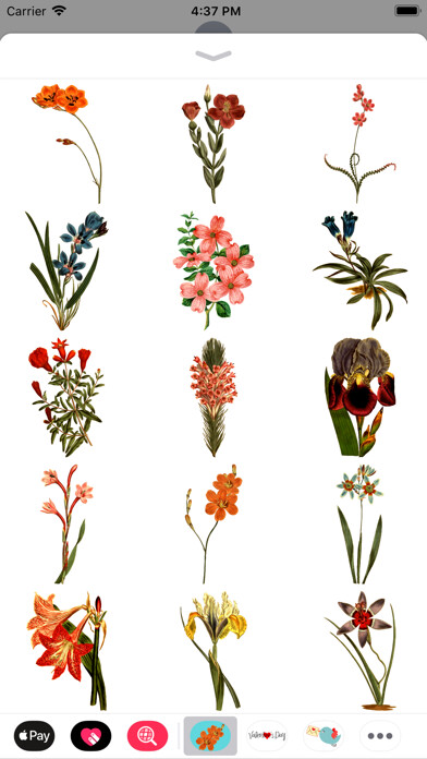 Emulate iPhone app Blossoms. The stickers using MyAndroid Emulate iPhone app Blossoms. The stickers using MyAndroid