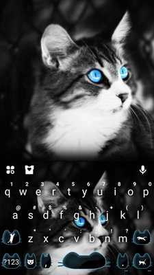 Emulate Android APK Blue Eye Kitty Cat Emulate Android APK Blue Eye Kitty Cat