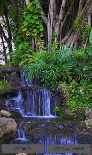 Run android online APK Blue Forest Water LWP from MyAndroid or emulate Blue Forest Water LWP using MyAndroid Run android online APK Blue Forest Water LWP from MyAndroid or emulate Blue Forest Water LWP using MyAndroid