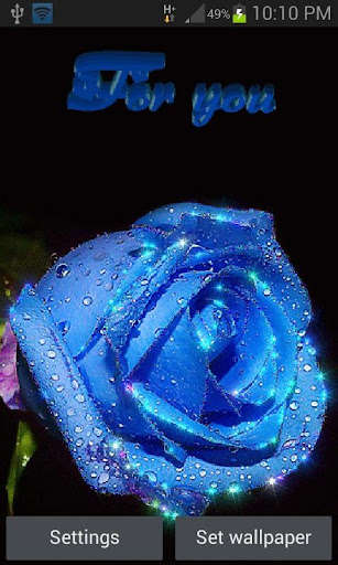 Run android online APK Blue Rose For You LWP from MyAndroid or emulate Blue Rose For You LWP using MyAndroid Run android online APK Blue Rose For You LWP from MyAndroid or emulate Blue Rose For You LWP using MyAndroid