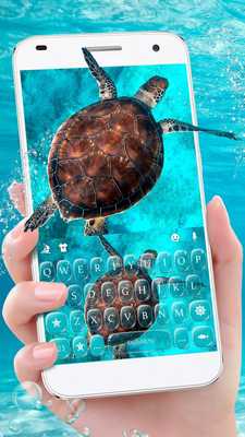 Emulate Android APK Blue Sea Turtle Emulate Android APK Blue Sea Turtle