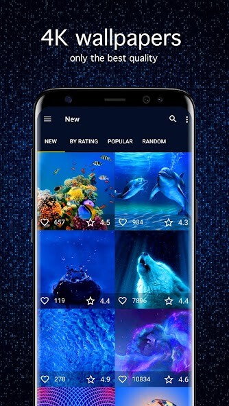 Run android online APK Blue Wallpapers 4K from MyAndroid or emulate Blue Wallpapers 4K using MyAndroid
