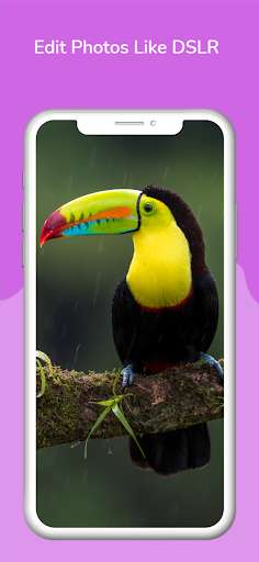 Run android online APK Blur Image Photo Editor Effect from MyAndroid or emulate Blur Image Photo Editor Effect using MyAndroid