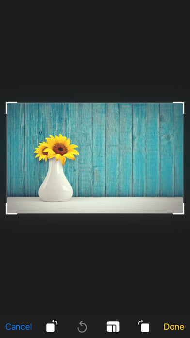 Emulate iPhone app Blur photo background editor using MyAndroid Emulate iPhone app Blur photo background editor using MyAndroid