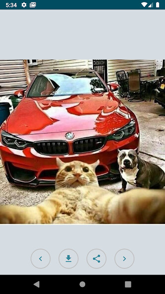 Run android online APK BMW pictures without internet from MyAndroid or emulate BMW pictures without internet using MyAndroid