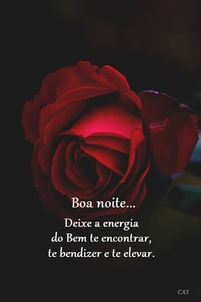 Run android online APK boa noite wallpaper from MyAndroid or emulate boa noite wallpaper using MyAndroid