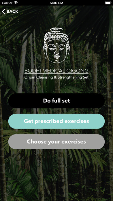 Emulate iPhone app Bodhi Medical Qigong using MyAndroid Emulate iPhone app Bodhi Medical Qigong using MyAndroid