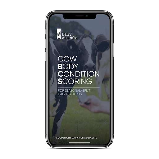 Run android online APK Body Condition Scoring Tool from MyAndroid or emulate Body Condition Scoring Tool using MyAndroid