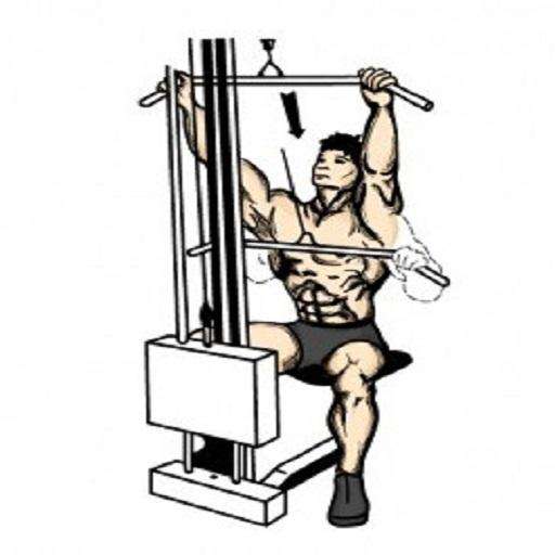 Run android online APK Body Muscle Exercise from MyAndroid or emulate Body Muscle Exercise using MyAndroid