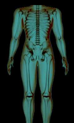 Emulate Android APK Body:Xray scanner prank Emulate Android APK Body:Xray scanner prank
