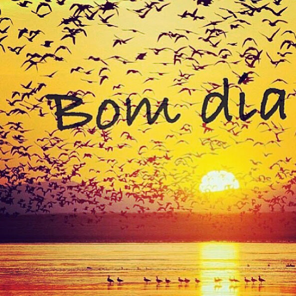 Run android online APK Bom Dia A Todos GIF from MyAndroid or emulate Bom Dia A Todos GIF using MyAndroid Run android online APK Bom Dia A Todos GIF from MyAndroid or emulate Bom Dia A Todos GIF using MyAndroid