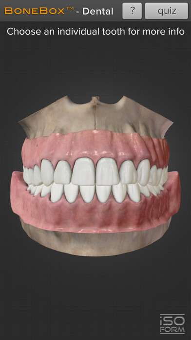 Emulate iPhone app BoneBox™ - Dental Lite using MyAndroid Emulate iPhone app BoneBox™ - Dental Lite using MyAndroid