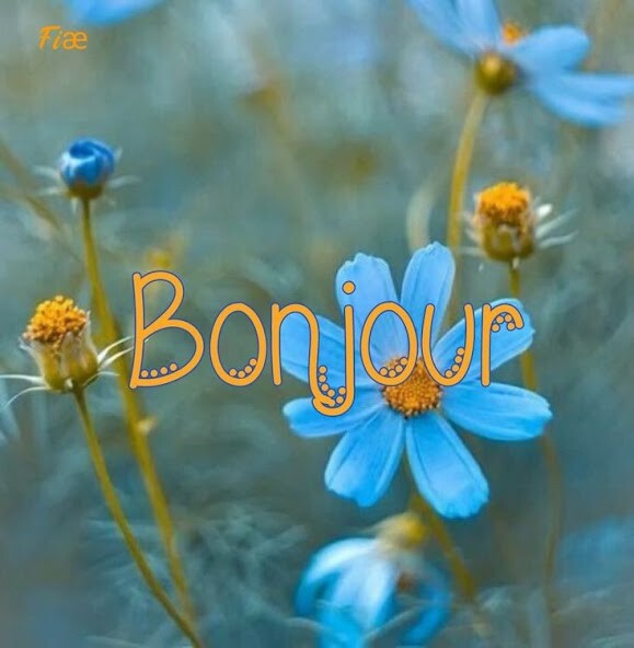 Run android online APK Bonjour Bonne Nuit GIFs 2023 from MyAndroid or emulate Bonjour Bonne Nuit GIFs 2023 using MyAndroid Run android online APK Bonjour Bonne Nuit GIFs 2023 from MyAndroid or emulate Bonjour Bonne Nuit GIFs 2023 using MyAndroid