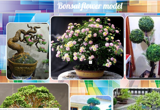Run android online APK Bonsai flower model from MyAndroid or emulate Bonsai flower model using MyAndroid