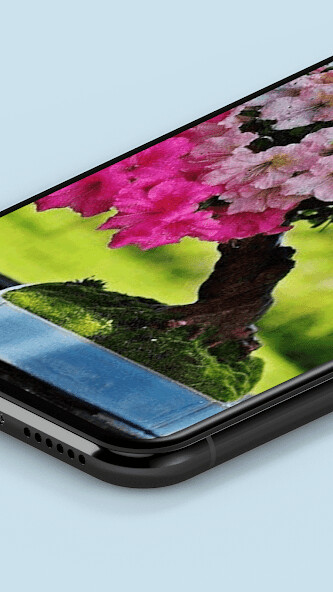 Run android online APK Bonsai Wallpaper HD from MyAndroid or emulate Bonsai Wallpaper HD using MyAndroid Run android online APK Bonsai Wallpaper HD from MyAndroid or emulate Bonsai Wallpaper HD using MyAndroid