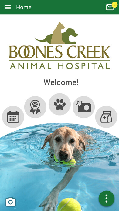Emulate iPhone app Boones Creek Animal Hospital using MyAndroid