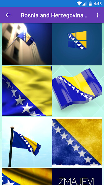 Run android online APK Bosnia and Herzegovina Flag an from MyAndroid or emulate Bosnia and Herzegovina Flag an using MyAndroid