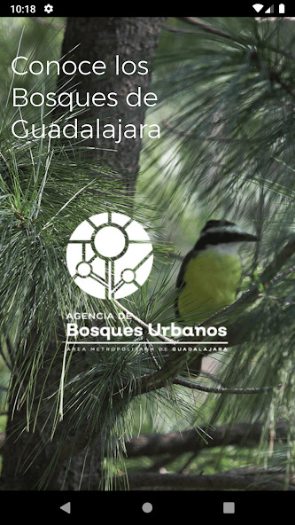 Run android online APK Bosques AMG from MyAndroid or emulate Bosques AMG using MyAndroid