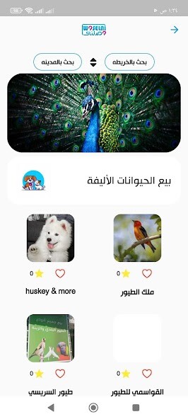 Run android online APK Bosr3a from MyAndroid or emulate Bosr3a using MyAndroid Run android online APK Bosr3a from MyAndroid or emulate Bosr3a using MyAndroid