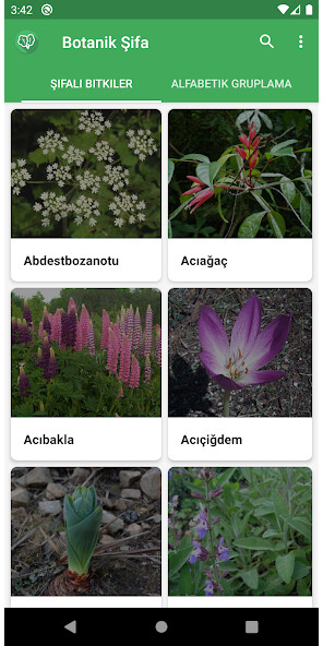 Run android online APK Botanik ?ifa: ?ifal? Bitkiler from MyAndroid or emulate Botanik ?ifa: ?ifal? Bitkiler using MyAndroid Run android online APK Botanik ?ifa: ?ifal? Bitkiler from MyAndroid or emulate Botanik ?ifa: ?ifal? Bitkiler using MyAndroid