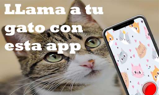 Run android online APK Boton de silvido : SILVIDO para despertar from MyAndroid or emulate Boton de silvido : SILVIDO para despertar using MyAndroid Run android online APK Boton de silvido : SILVIDO para despertar from MyAndroid or emulate Boton de silvido : SILVIDO para despertar using MyAndroid