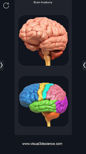 Run android online APK Brain Anatomy Pro. from MyAndroid or emulate Brain Anatomy Pro. using MyAndroid Run android online APK Brain Anatomy Pro. from MyAndroid or emulate Brain Anatomy Pro. using MyAndroid