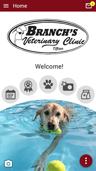 Run android online APK Branchs Vet Clinic Tifton from MyAndroid or emulate Branchs Vet Clinic Tifton using MyAndroid Run android online APK Branchs Vet Clinic Tifton from MyAndroid or emulate Branchs Vet Clinic Tifton using MyAndroid