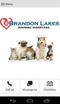 Emulate Android APK Brandon Lakes AH Emulate Android APK Brandon Lakes AH