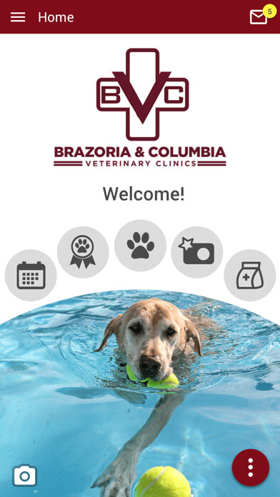 Emulate iPhone app Brazoria Vet using MyAndroid