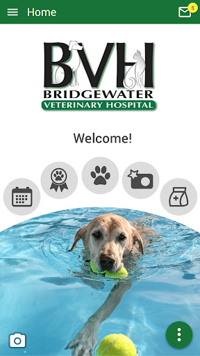 Run android online APK Bridgewater Veterinary Hospital from MyAndroid or emulate Bridgewater Veterinary Hospital using MyAndroid Run android online APK Bridgewater Veterinary Hospital from MyAndroid or emulate Bridgewater Veterinary Hospital using MyAndroid