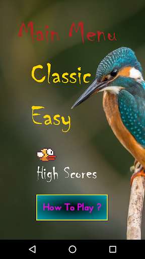 Run android online APK Brisky Bird from MyAndroid or emulate Brisky Bird using MyAndroid Run android online APK Brisky Bird from MyAndroid or emulate Brisky Bird using MyAndroid