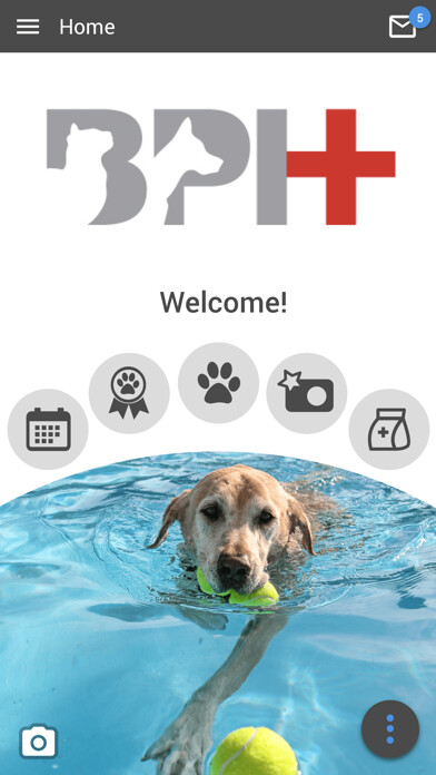 Emulate iPhone app Broadway Pet Hosp using MyAndroid
