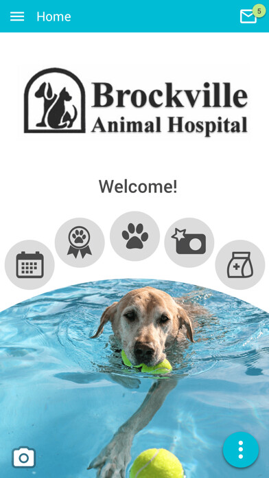 Emulate iPhone app Brockville Vet using MyAndroid