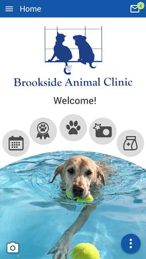 Run android online APK Brookside Animal Clinic from MyAndroid or emulate Brookside Animal Clinic using MyAndroid Run android online APK Brookside Animal Clinic from MyAndroid or emulate Brookside Animal Clinic using MyAndroid