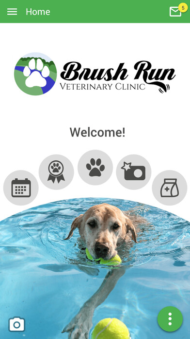 Emulate iPhone app Brush Run Vet Clinic using MyAndroid Emulate iPhone app Brush Run Vet Clinic using MyAndroid