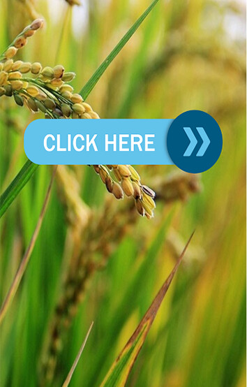 Run android online APK Bsc Agri Notes from MyAndroid or emulate Bsc Agri Notes using MyAndroid
