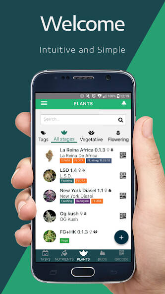 Run android online APK BudBuds.us - Grow and Review from MyAndroid or emulate BudBuds.us - Grow and Review using MyAndroid