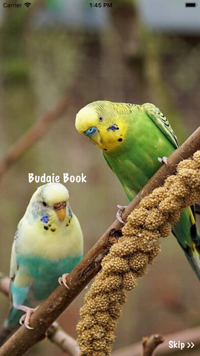 Emulate iPhone app Budgie Book using MyAndroid Emulate iPhone app Budgie Book using MyAndroid