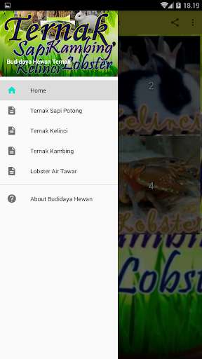 Run android online APK Budidaya Hewan Ternak from MyAndroid or emulate Budidaya Hewan Ternak using MyAndroid