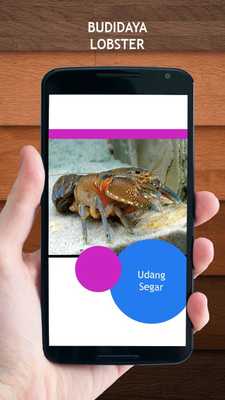 Emulate Android APK Budidaya Lobster