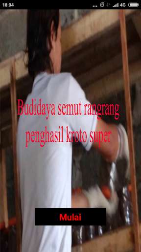Emulate Android APK Budidaya semut rangrang penghasil kroto super Emulate Android APK Budidaya semut rangrang penghasil kroto super