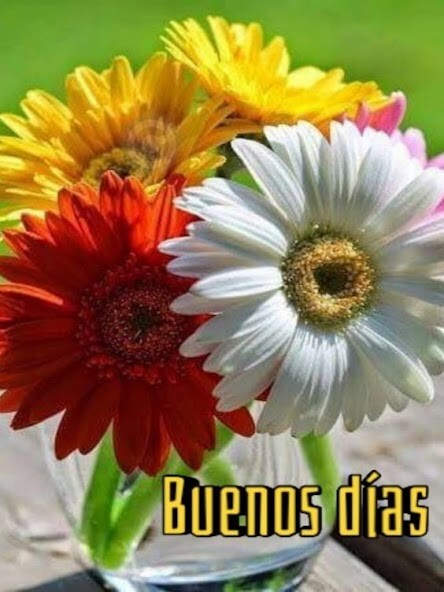 Run android online APK Buenos Días Amor imágenes from MyAndroid or emulate Buenos Días Amor imágenes using MyAndroid Run android online APK Buenos Días Amor imágenes from MyAndroid or emulate Buenos Días Amor imágenes using MyAndroid