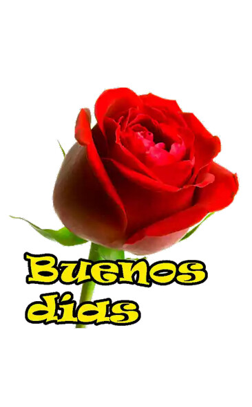 Run android online APK Buenos días trades noches 2023 from MyAndroid or emulate Buenos días trades noches 2023 using MyAndroid