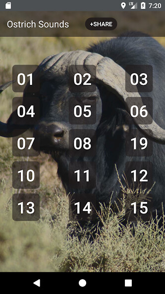 Run android online APK Buffalo Bison Sounds from MyAndroid or emulate Buffalo Bison Sounds using MyAndroid Run android online APK Buffalo Bison Sounds from MyAndroid or emulate Buffalo Bison Sounds using MyAndroid