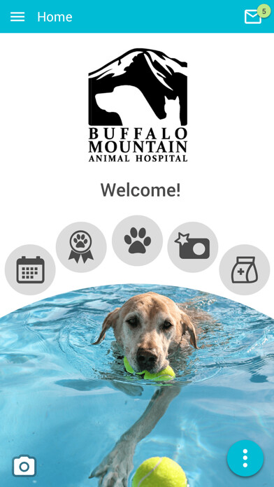Emulate iPhone app Buffalo Mtn Animal Hospital using MyAndroid