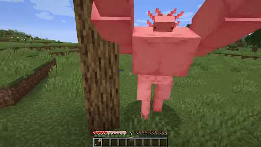 Run android online APK Buff Axolotl skins For MCPE from MyAndroid or emulate Buff Axolotl skins For MCPE using MyAndroid