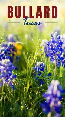 Emulate Android APK Bullard Connect Emulate Android APK Bullard Connect