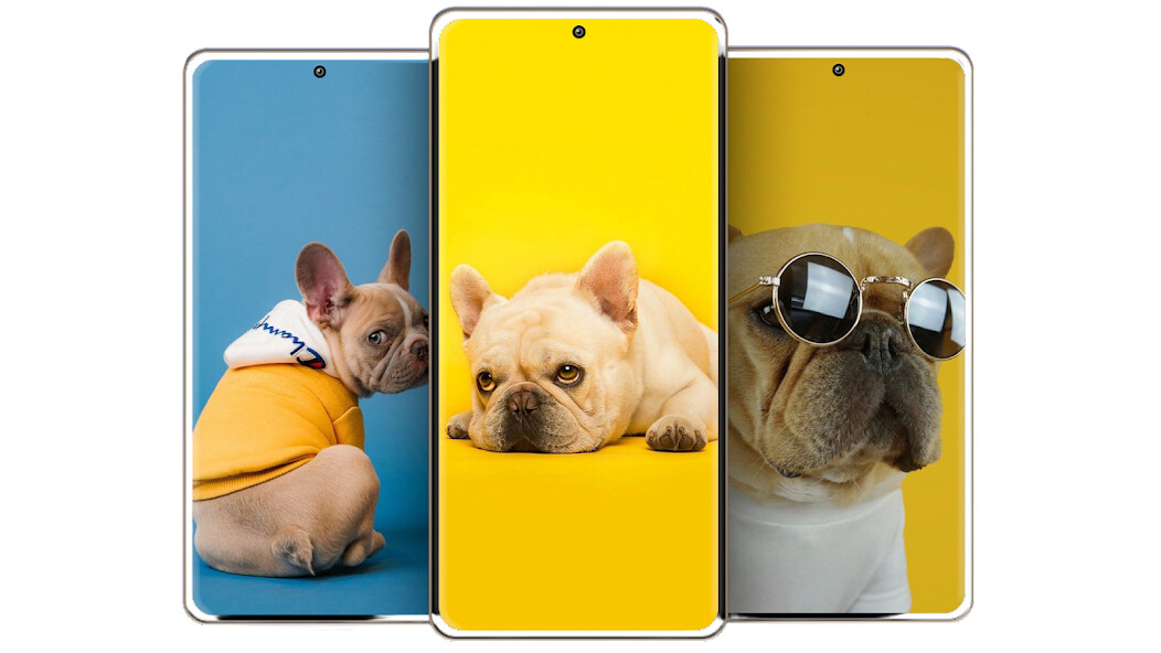 Run android online APK Bulldog wallpapers from MyAndroid or emulate Bulldog wallpapers using MyAndroid Run android online APK Bulldog wallpapers from MyAndroid or emulate Bulldog wallpapers using MyAndroid