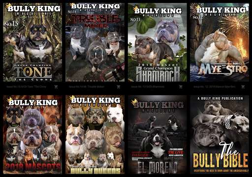 Run android online APK BULLY KING Magazine from MyAndroid or emulate BULLY KING Magazine using MyAndroid