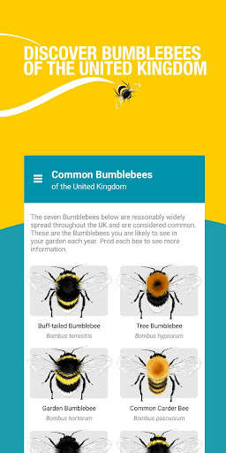 Run android online APK Bumblebees UK: A pocket guide from MyAndroid or emulate Bumblebees UK: A pocket guide using MyAndroid
